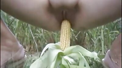 স্বামী ও স্ত্রী এক্সক্স কম